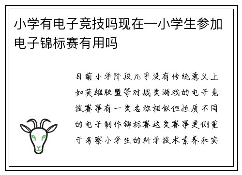 小学有电子竞技吗现在—小学生参加电子锦标赛有用吗